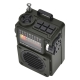 Многофункциональный радиоприемник HRD-700 Receivio